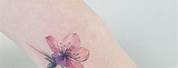 Cherry Blossom Petals Falling Tattoo