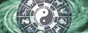 Chinese Zodiac Signs Yin and Yang