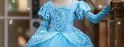Cinderella Princess Dresses for Girls