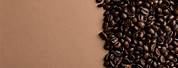 Coffee Roasted Beans Portrait Format