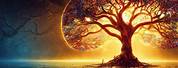 Cool Red Tree of Life Wallpaper