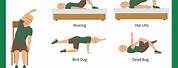 Core Exercises for Men Over 50 with Back Pain