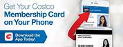 Costco Digital Membership Card