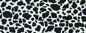 Cow Print Wallpaper for Kitchen