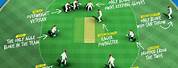 Cricket Fielding Positions 11 Players