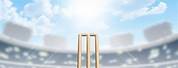 Cricket Pitch Wallpaper