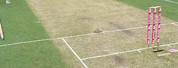 Cricket Wicket Mark Out