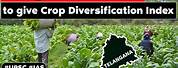 Crop Diversification in Telugu Meaning