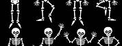 Cute Skeleton Cartoon Halloween Wallpaper
