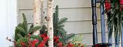 DIY Christmas Tree with Plant Pots