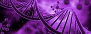 DNA Wallpaper Purple