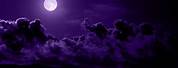 Dark Purple Background Aesthetic High Quality