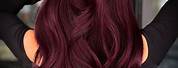 Dark Wine Red Hair Color Purple