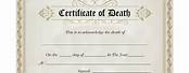 Death Certificate Copy Illinois