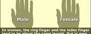 Difference Between Male and Female Hands