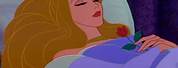 Disney Princess Sian Sleeping Beauty