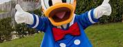 Disney World Donald Duck