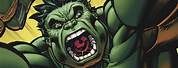 Ed McGuinness Green Hulk Art