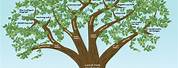 Family Tree Poster Graphic Design