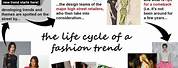 Fashion Life Cycle Examples