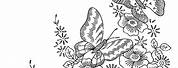 Flowers and Butterflies Border Coloring Pages