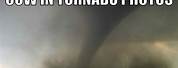 Flying Cow Tornado Meme