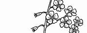 Forget Me Not Clip Art Coloring Page