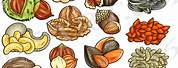 Fruit Seeds Clip Art