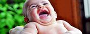 Funny Baby Laughing Meme