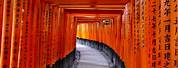 Fushimi Inari Taisha Shrine Kyoto