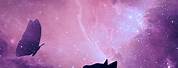 Galaxy Cat Wallpaper Art