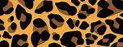 Google Images Free Leopard Print Wallpaper