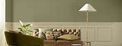 Green Living Room Paint Colors