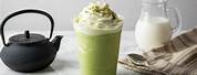 Green Tea Latte Frappuccino Starbucks