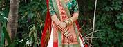 Gujarati Bridal Saree