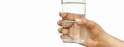 Hand Holding Water Glass