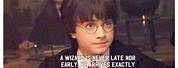 Harry Potter Book Day Meme