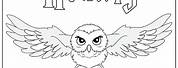 Harry Potter Hedwig Coloring Pages