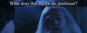 Harry Potter Mirror Meme