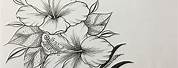 Hawaiian Hibiscus Flower Drawings Tattoo