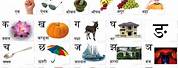 Hindi Words List for Kids