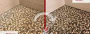 How to Clean Pebblestone Shower Floor