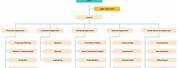 IT Company Organizational Structure Chart