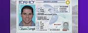 Idaho ID Card for Minor Format
