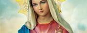Immaculate Heart of the Blessed Virgin Mary Image