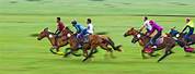 Inner Mongolia Horse Racing