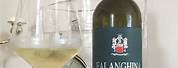 Italian White Wine Falanghina