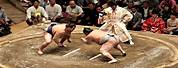 Japan Sports Sumo