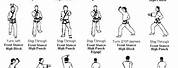 Karate Stances and the Names