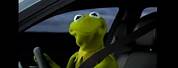 Kermit Driving to Work Meme
